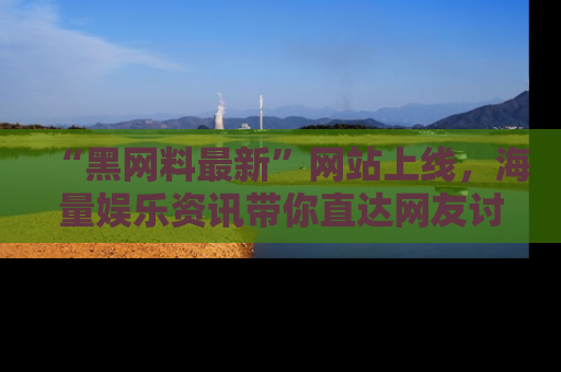 “黑网料最新”网站上线,海量娱乐资讯带你直达网友讨论的中心!