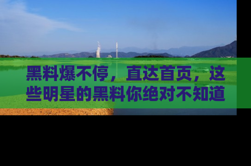 黑料爆不停，直达首页，这些明星的黑料你绝对不知道！