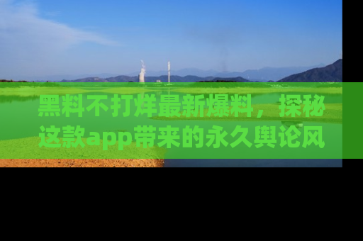 黑料不打烊最新爆料，探秘这款app带来的永久舆论风暴