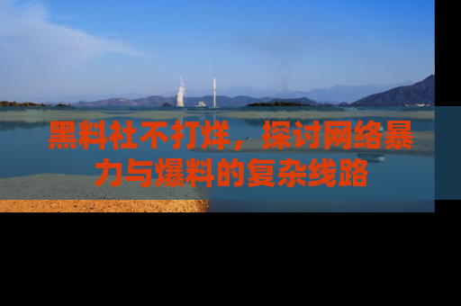 黑料社不打烊，探讨网络暴力与爆料的复杂线路