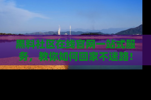 黑料社区在线官网一站式服务，教你如何回家不迷路！