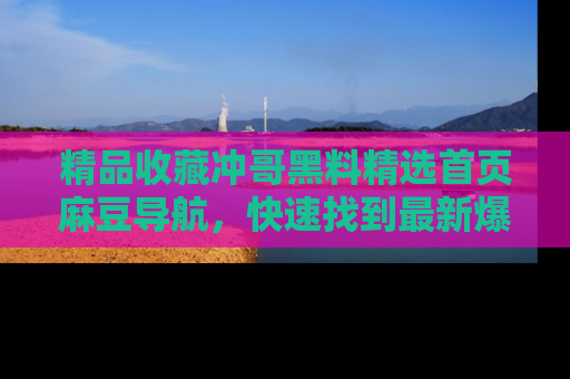 精品收藏冲哥黑料精选首页麻豆导航，快速找到最新爆料