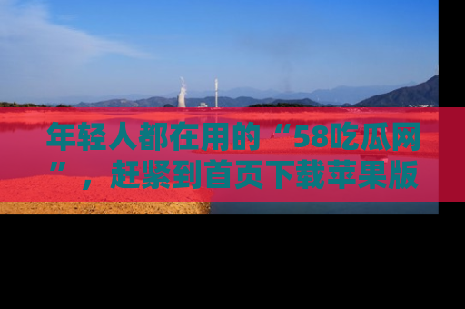 年轻人都在用的“58吃瓜网”,赶紧到首页下载苹果版吧!