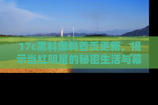 17c黑料爆料首页更新,揭示当红明星的秘密生活与幕后故事