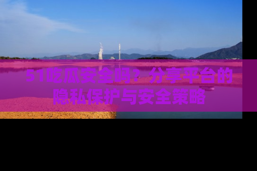 51吃瓜安全吗?分享平台的隐私保护与安全策略