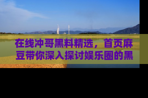 在线冲哥黑料精选，首页麻豆带你深入探讨娱乐圈的黑暗面