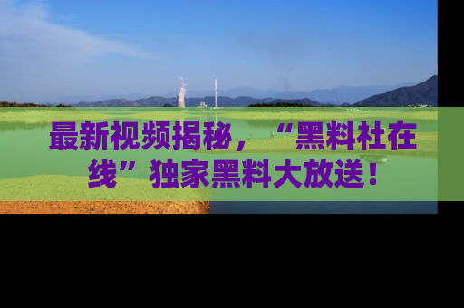 最新视频揭秘,“黑料社在线”独家黑料大放送!
